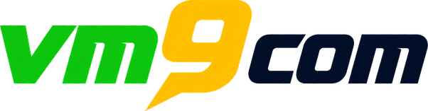 vm9 com